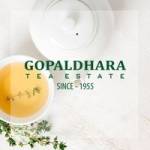 Gopaldhara Tea Estate Profile Picture