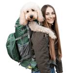 dog carrier Profile Picture