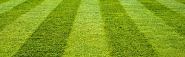 How To Find Cheap Wholesalers of Artificial Grass Suppliers? – @artificialgrassperth on Tumblr