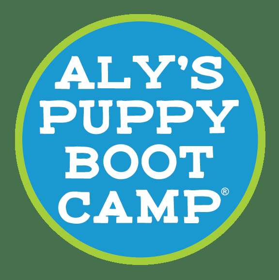 Aly's Puppy Boot Camp Profile Picture