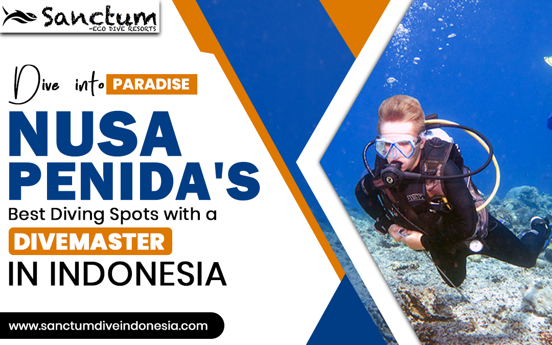 Dive into Paradise: Nusa Penida’s Best Diving Spots with a Divemaster in Indonesia – Dive Indonesia, Scuba Bali Dive