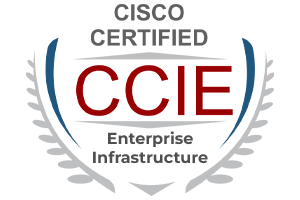 CCIE Enterprise Infrastructure Training | Netmet Solutions