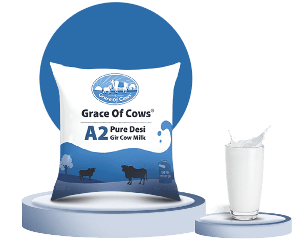 A2 Gir Cow Milk Pune | Pure Desi Cow Milk - Organic Milk Near Me - Grace Of Cows