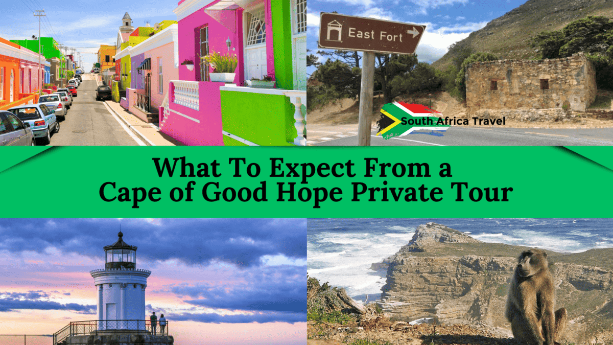 Cape of Good Hope Private Tour | Private Cape Town Tours