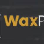 waxpapersnet Profile Picture