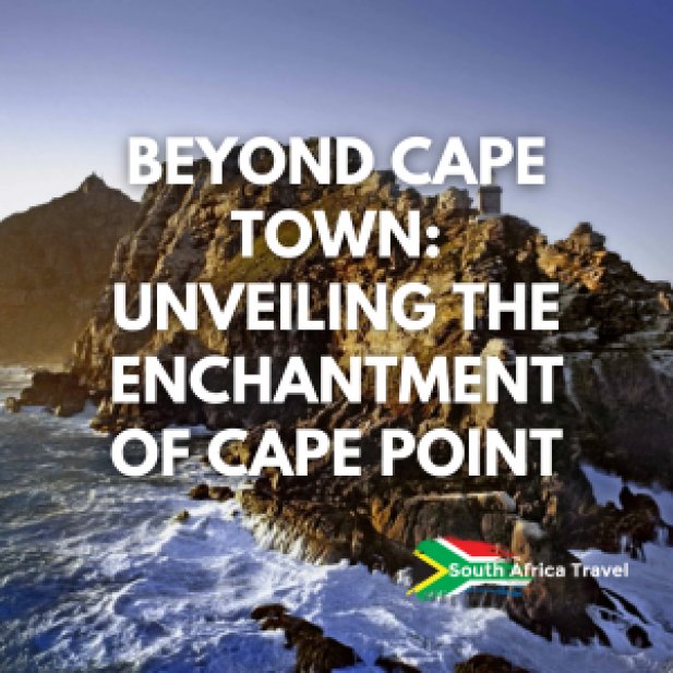 Beyond Cape Town: Unveiling the Enchantment of Cape Point Article - ArticleTed -  News and Articles