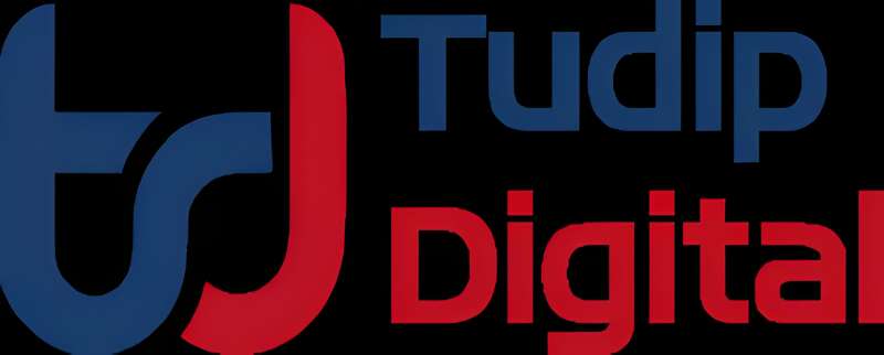 Tudip Technologies Profile Picture