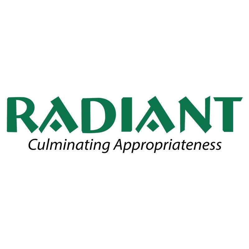 Radiant Info Solutions Profile Picture