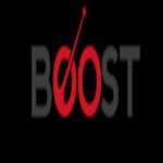 Boost Translation LLC Profile Picture