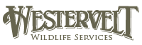 Alabama Deer Hunting Leases & Hunting Clubs | Habitat Management Company