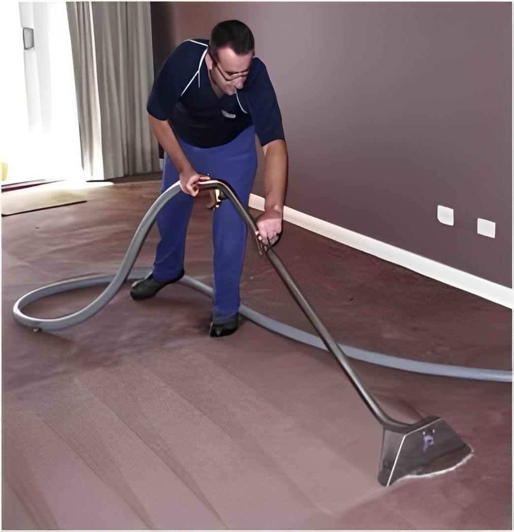 Why You Should Hire a Professional Carpet Drying Service in Melbourne? - Bloom Homes