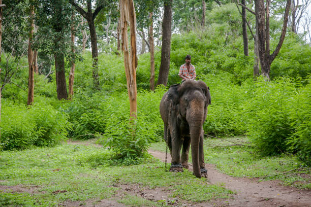 Wayanad Trip