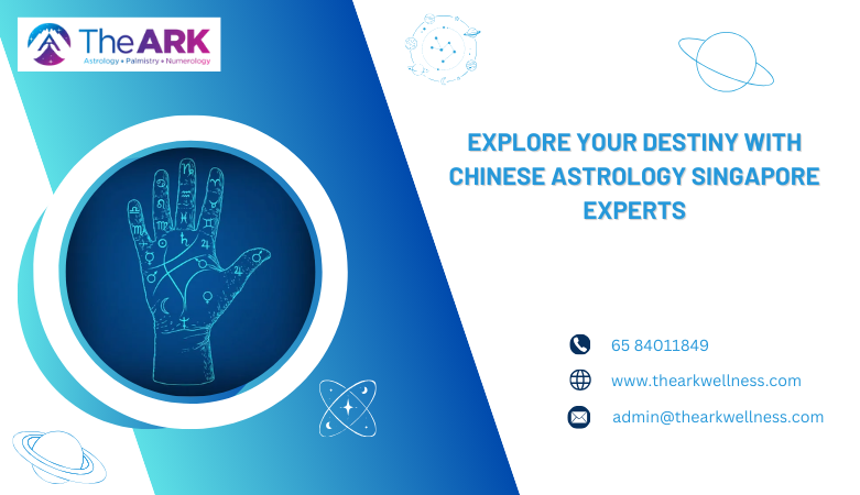 Explore Your Destiny with Chinese Astrology Singapore Experts – The Ark Wellness
