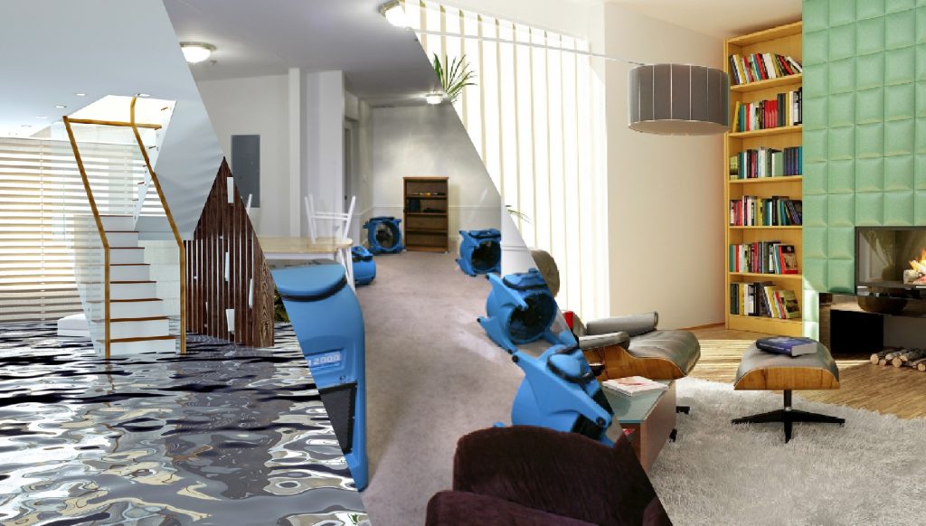 Water Damage Melbourne: Fast & Reliable Restoration Services « Flood Damage Repair Melbourne