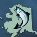 Kingfisher Exclusive Fishing Lodge Alaska Experience profile picture