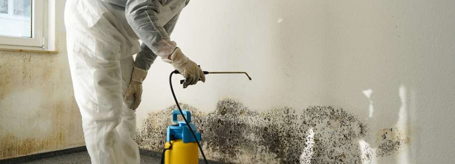 Mould Experts Gold Coast Cover Image