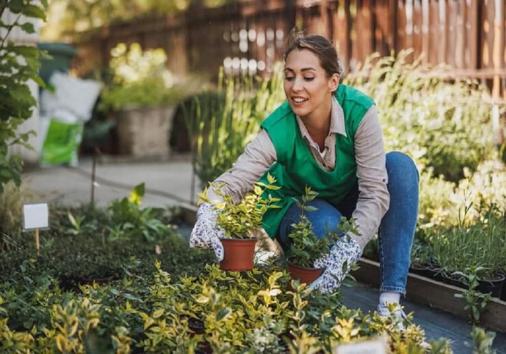 Home Gardening Tips for Beginners | Vegetable Gardening Ideas