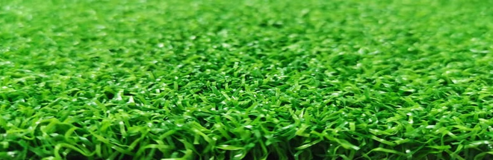 Why Playing on the Best Sport Grass is Crucial for Athletes