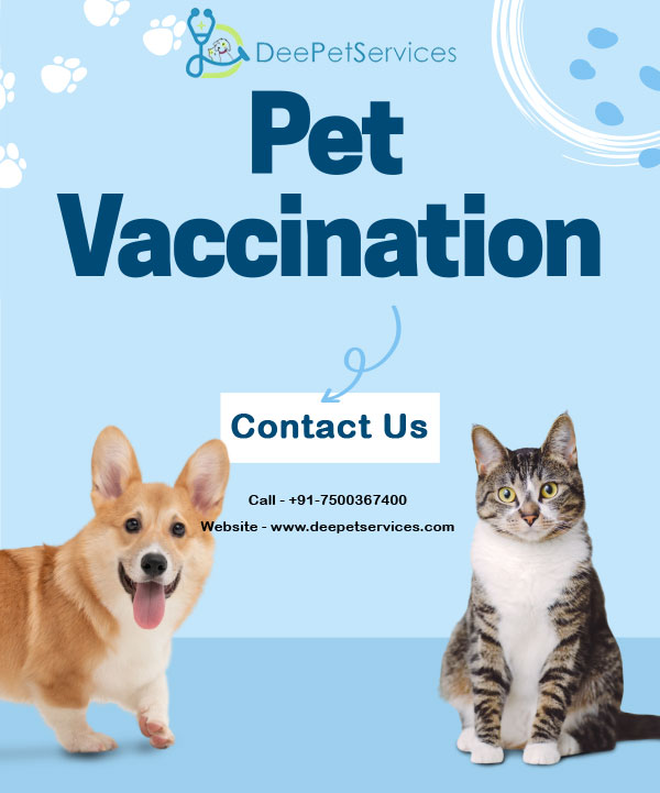 Pet vaccination At Home - Schedule Door Step Pet Vaccination