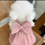 Pet Corduroy Dress Profile Picture