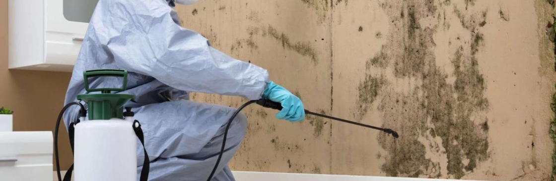 Mould Experts Toowoomba Cover Image