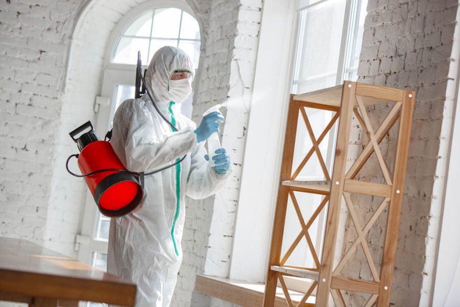 Professional Mold Remediation, Mitigation & Removal in Charlotte, NC