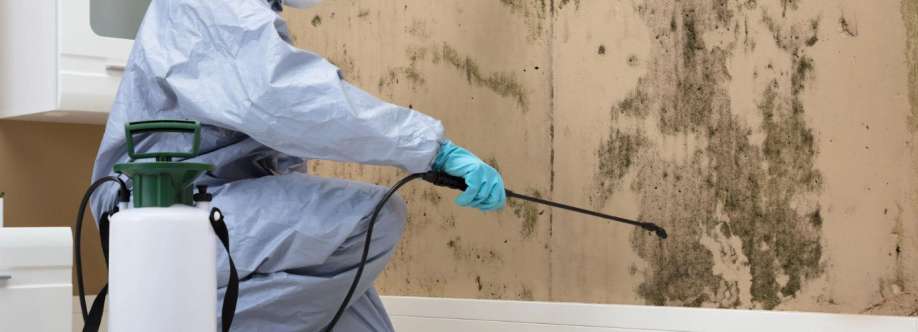 Mould Experts Melbourne Cover Image