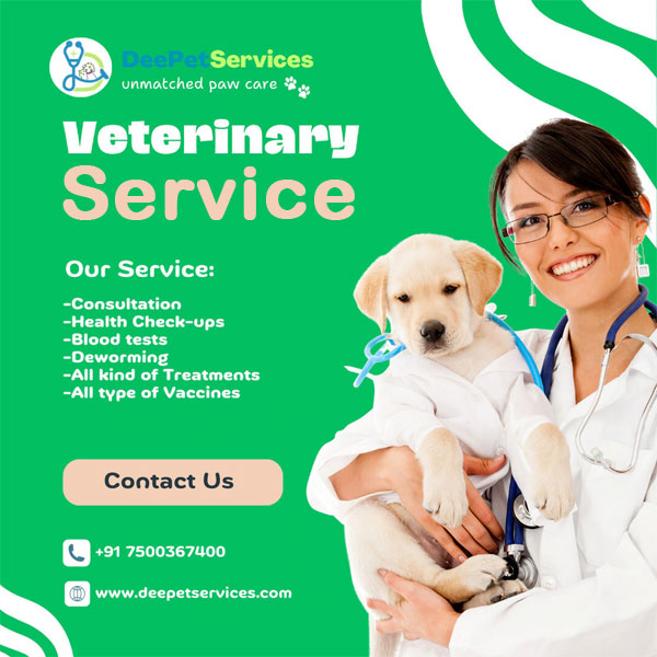 At Home Veterinary Service Starting from ₹799