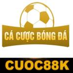 info cacuocbongda Profile Picture