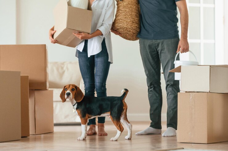 Moving with Pets: A Guide to a Stress-Free Transition