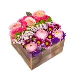 congratsflowers Profile Picture