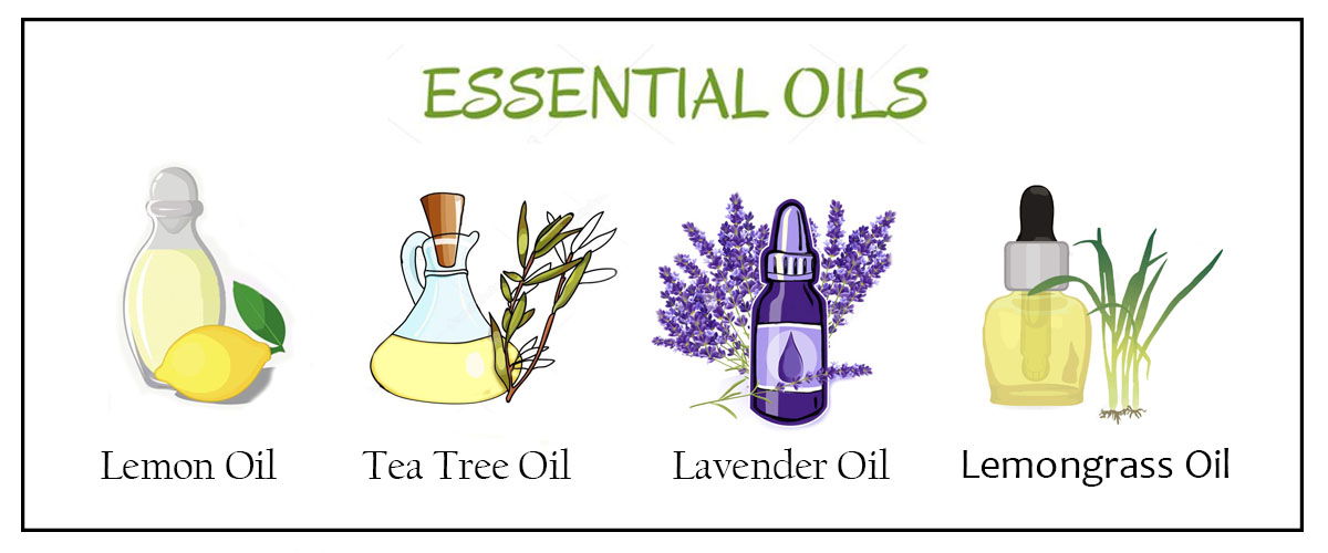 Varieties of Essential Oils