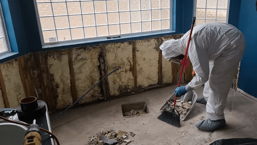 Signs of Mold Exposure: How to Identify Health Effects Early