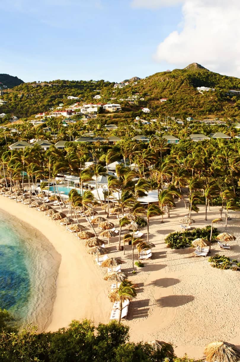 Whizolosophy | Why are Luxury Beach Resorts Perfect for Corporate Outings?