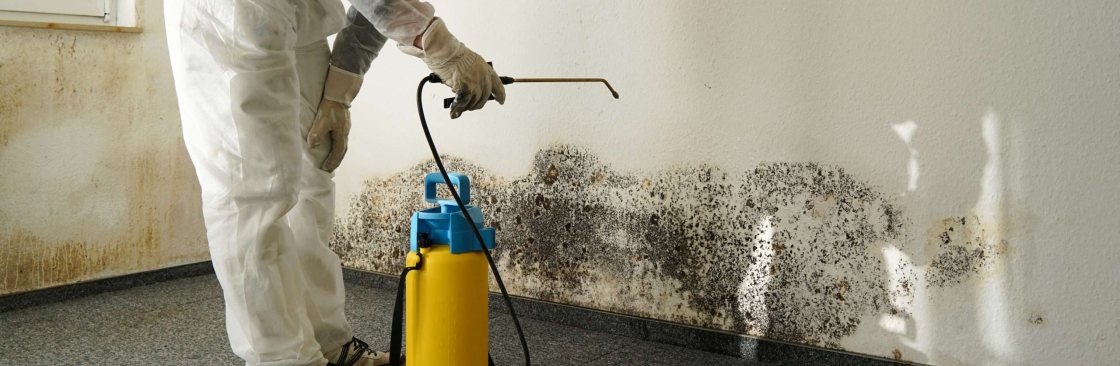 Mould Experts Townsville Cover Image