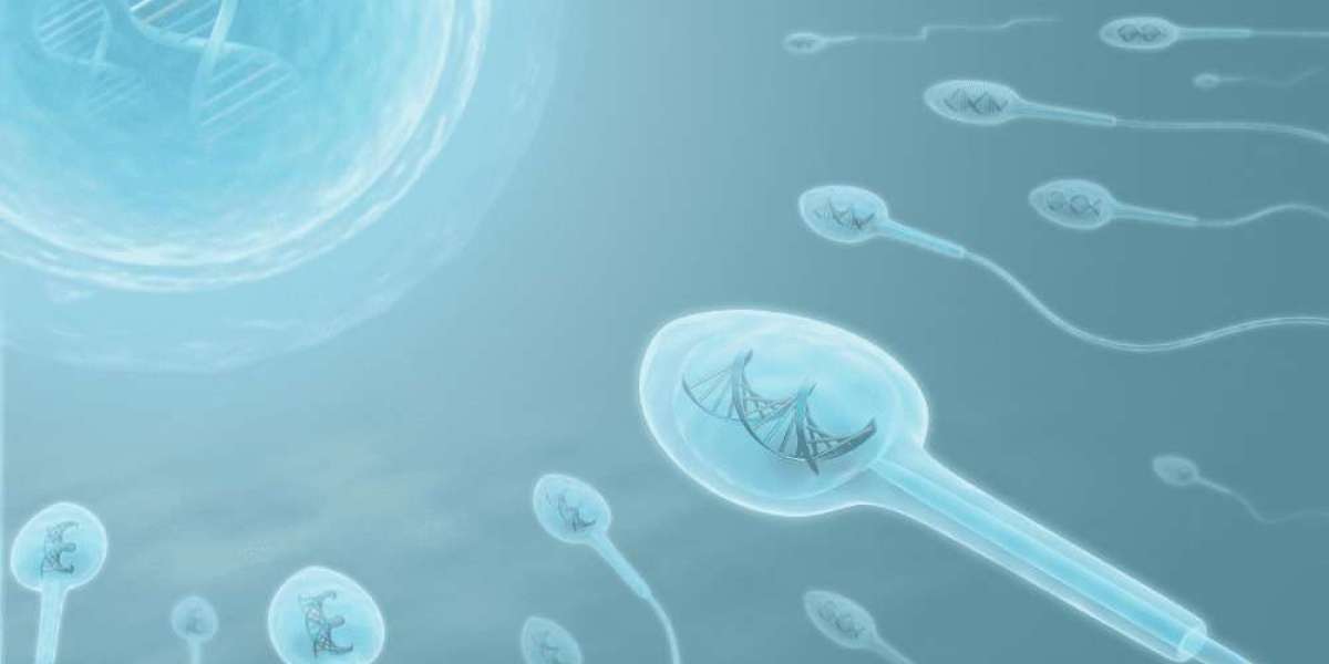 The Future of Human Reproduction: In Vitro Gametogenesis (IVG) and Its Implications