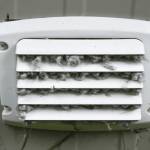 Philadelphia Dryer Vent Cleaning Services Profile Picture