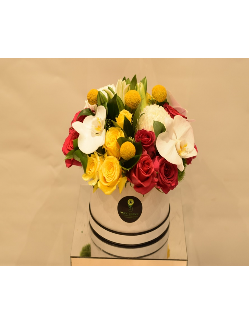 Best orchid delivery Dubai | Orchid Flowers in Dubai