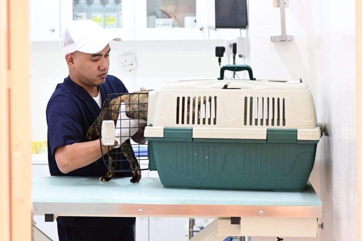 Pet Relocation Services Dubai | Canadian VC