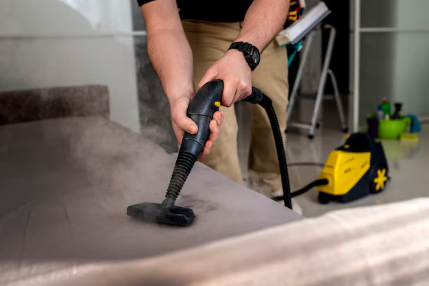 Why Steam Cleaning in Sydney Is the Best Choice for Your Home? - Lets Blog