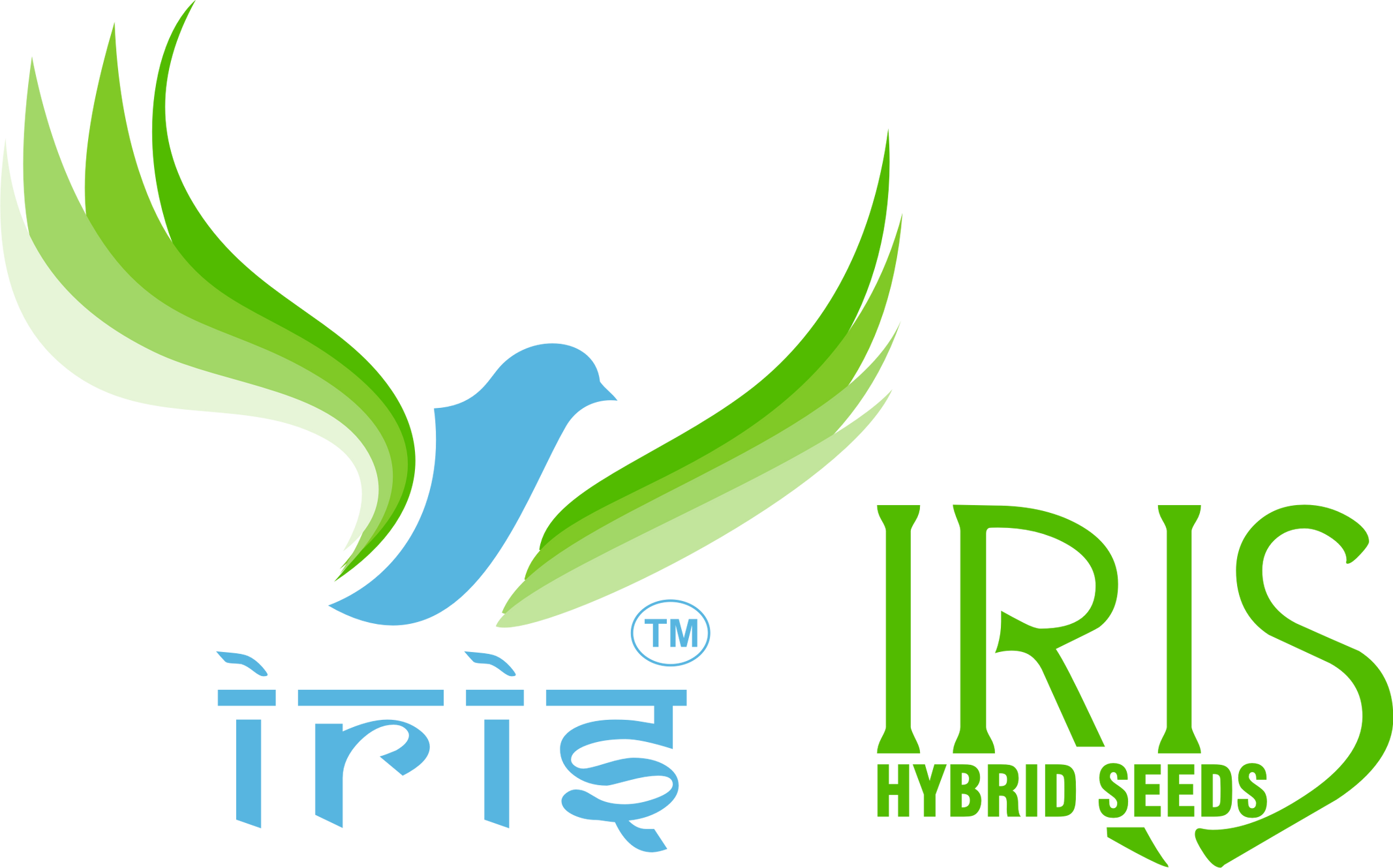 Buy f1 hybrid pumpkin seeds Online | IRIS Hybrid Seeds