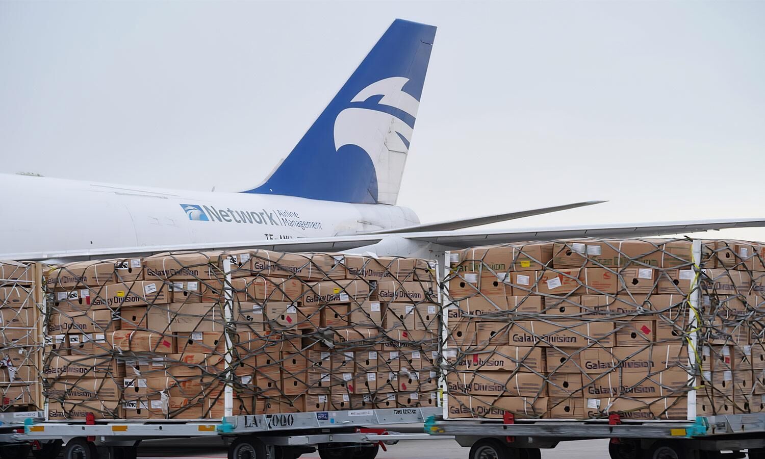 What is Network Aviation’s strategy to boost Kenya’s flower trade?