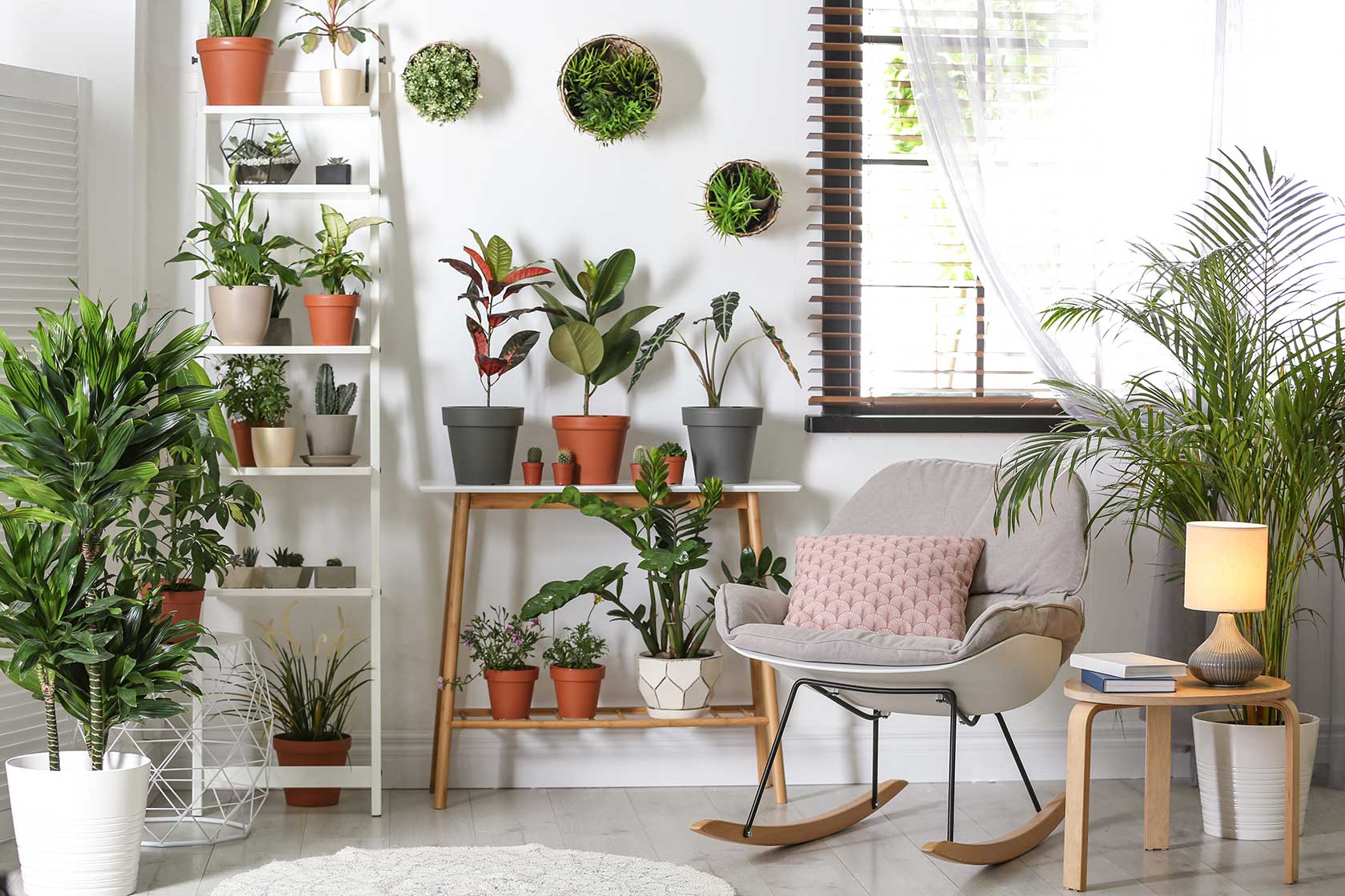 Stylish Indoor Plant Pots Melbourne – Perfect for Your Home & Office