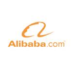 Topazinfotech Alibaba Profile Picture