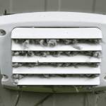 Fast Dryer Vent Cleaning Services in Cape Coral Profile Picture