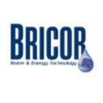 Bricor Profile Picture