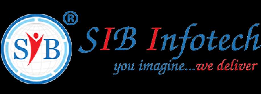 sib Infotech Cover Image