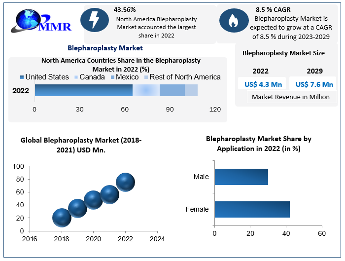 Blepharoplasty Market: Global Industry Analysis and Forecast 2029