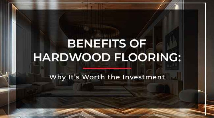 Eco Friendly Hardwood Flooring Options in Toronto - Charlotte News