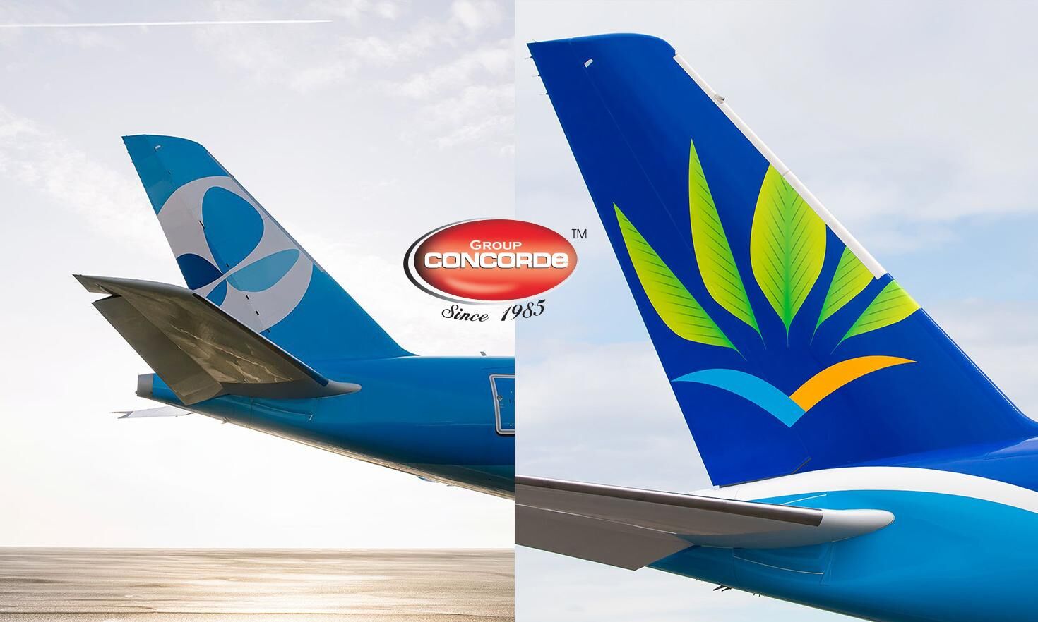 Group Concorde secures GSSA partnership with Air Caraïbes, French bee